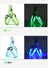 LED fibre optic dog harness glowing blue on a night walk
