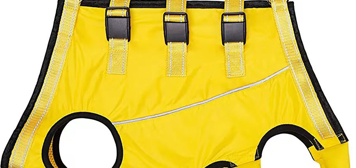 Orange hind leg support sling with handle for senior dogs, product image 14
