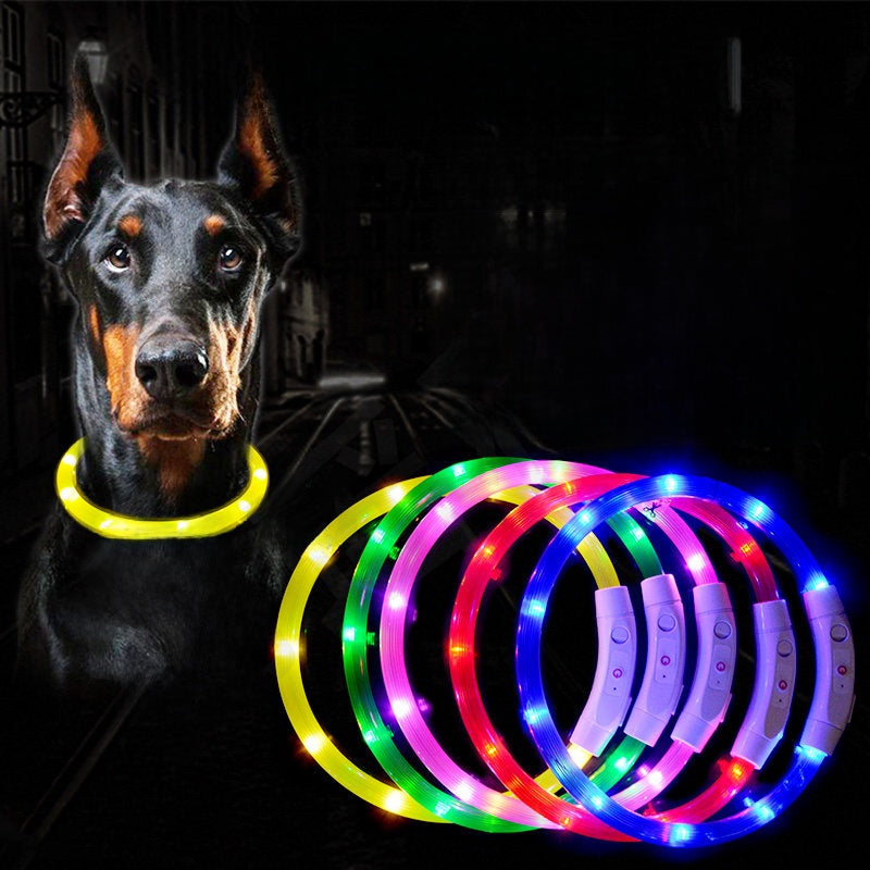 USB rechargeable luminous dog collar with coloured light, view 1