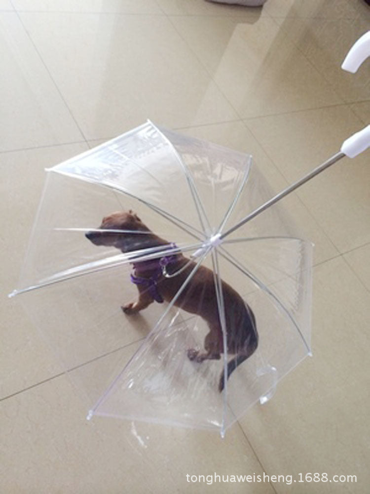 Clear dog umbrella with 70cm round canopy, product image 4