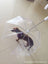 Clear dog umbrella with 70cm round canopy, product image 4