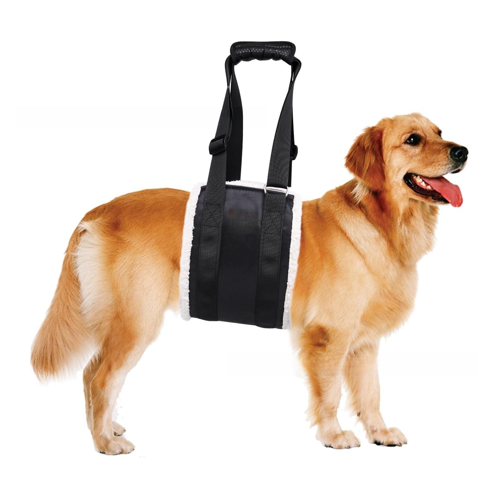 Dog support and lifting harness, 4 sizes available