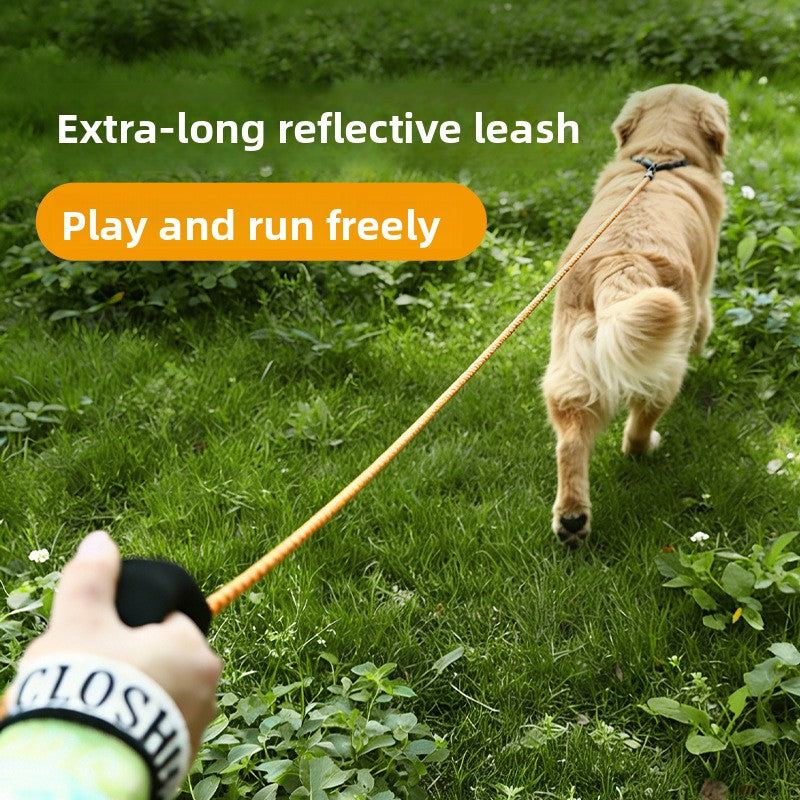 Reflective nylon dog lead for walks and tracking, 5 sizes available