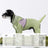 Full body four leg dog raincoats in twelve styles