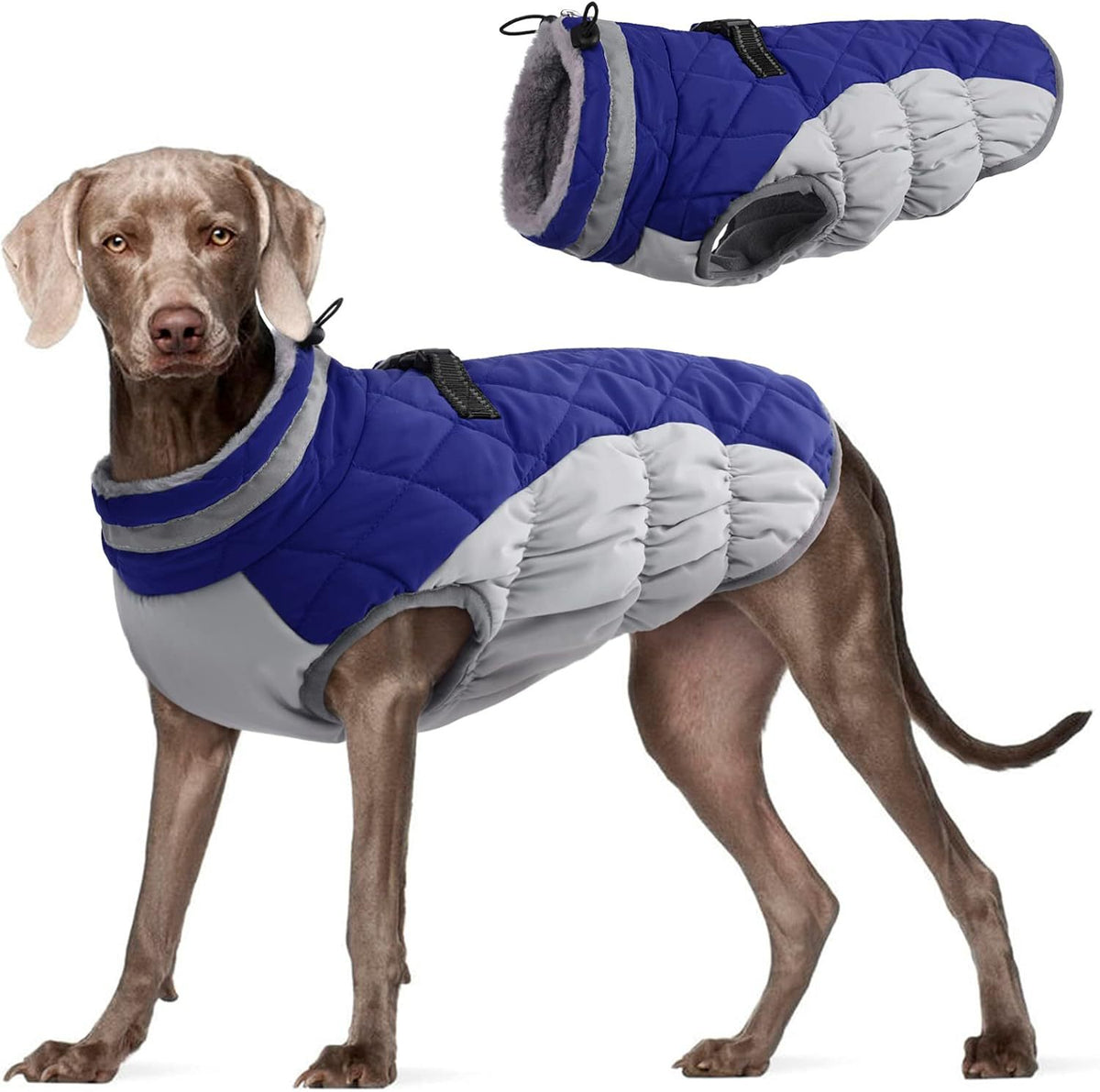 Windproof fleece lined padded dog coat in Blue and Grey, top view