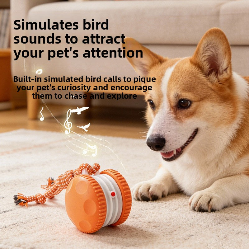 Dog chasing an automatic rolling ball toy during indoor playtime - photo 2