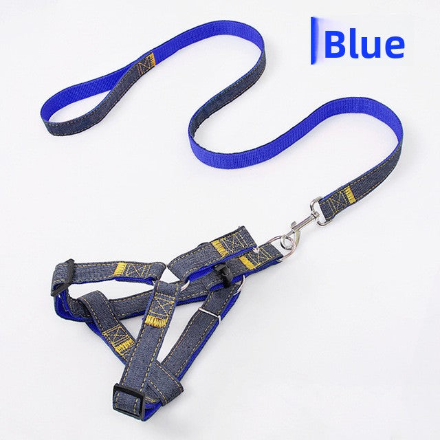 Soft red harness and lead on a small dog