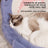 Shark Shape Pet Bed with Non-Slip Base for Cats and Dogs