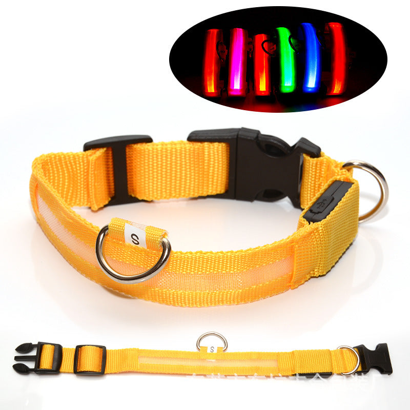 LED light up dog collar glowing green at night