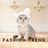 Cute animal headgear hat for cats and small dogs, showing size and shape