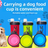 Portable Pet Food and Water Cup