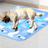 Printed gel cooling pad for cats, photo 1 of 23