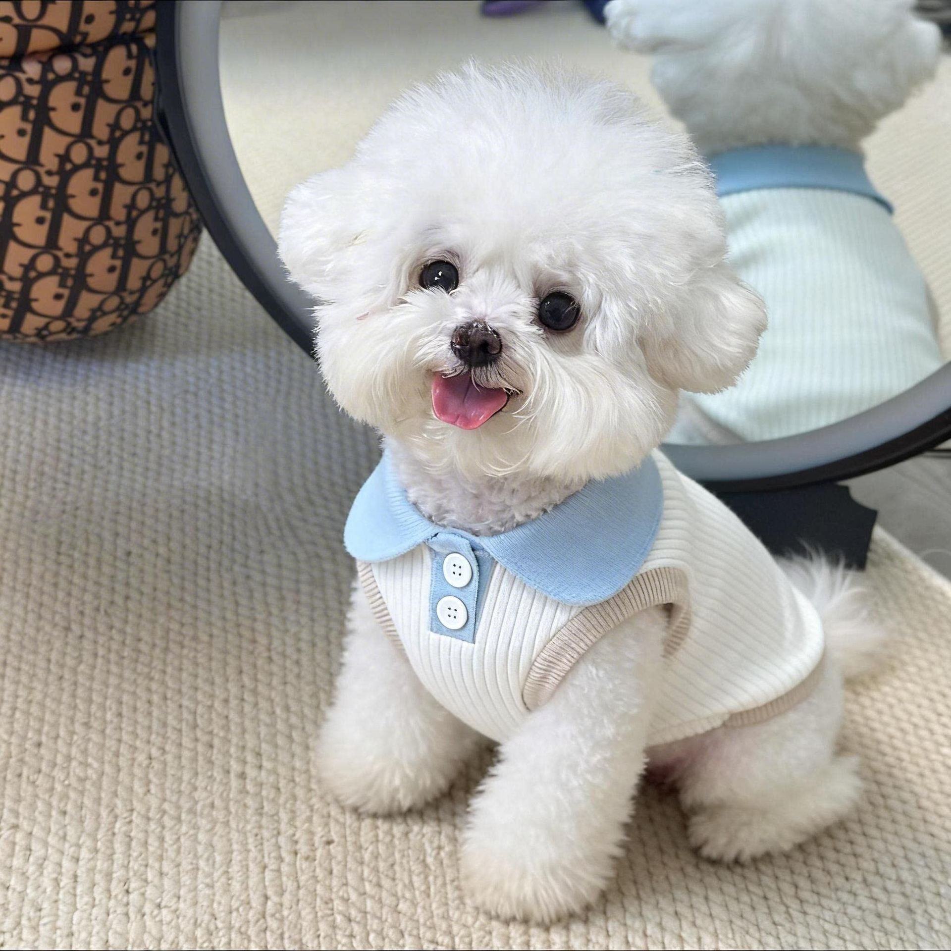 Summer shirt and vest for cats and small dogs, available in 21 styles, image 38