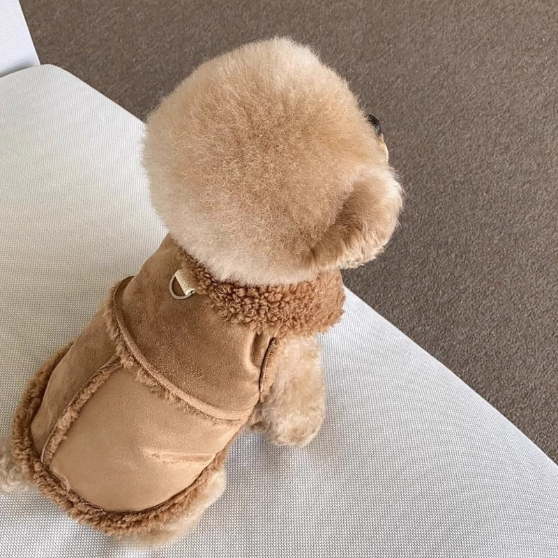 Small dog wearing a brown suede effect vest