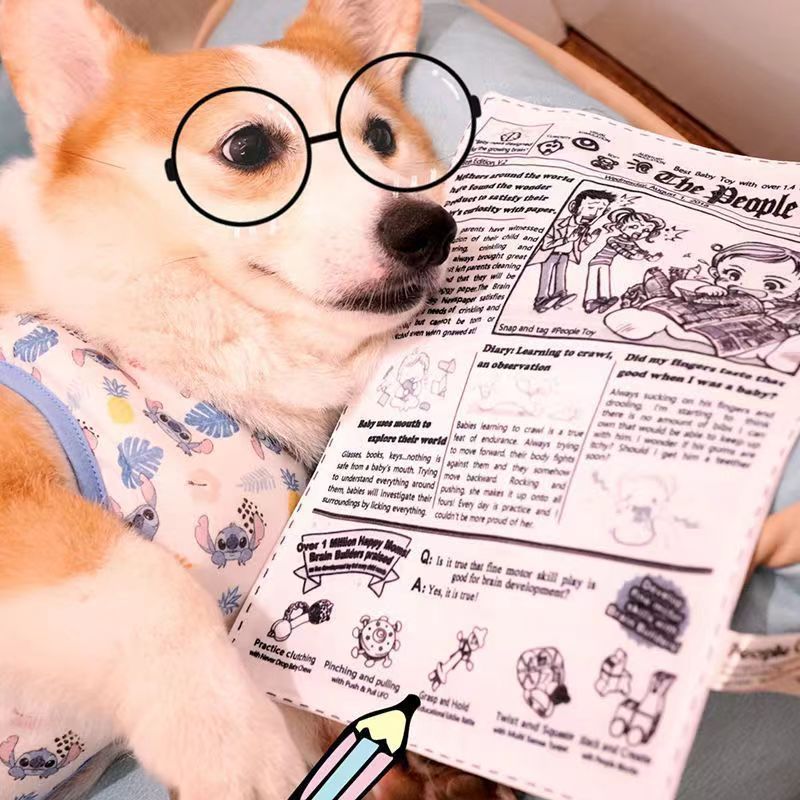 Close up of crinkly material on a dog sound toy - photo 4