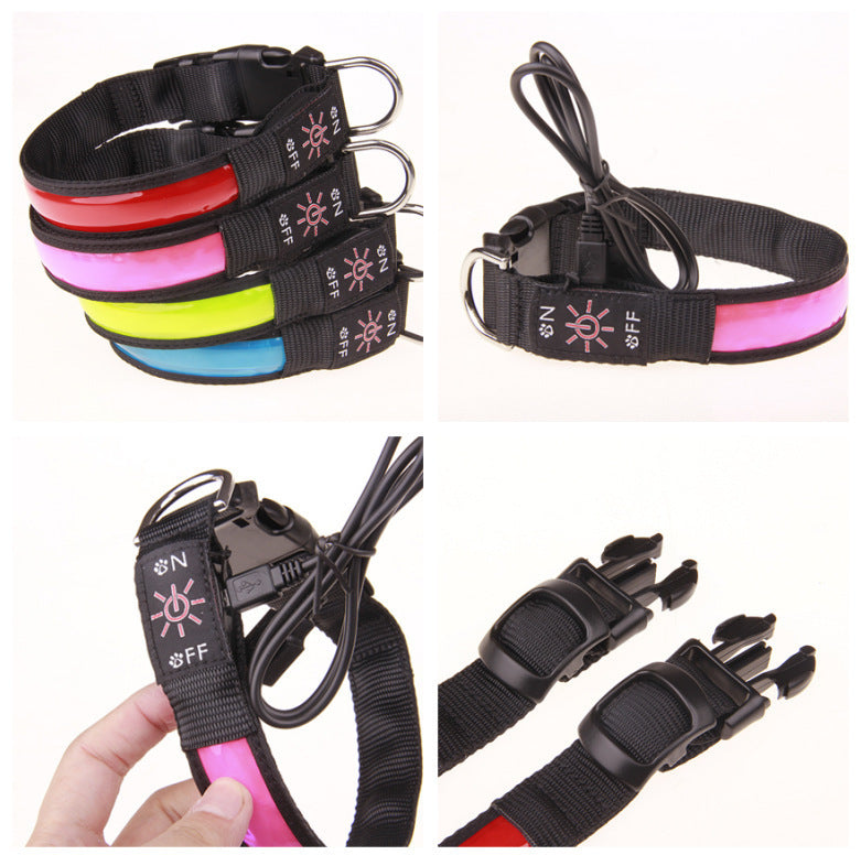 USB rechargeable LED dog collar glowing red at night