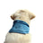 Adjustable cooling scarf for dogs in Blue, side view