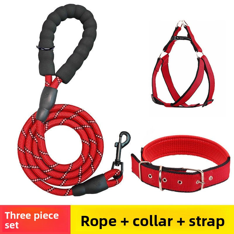 Reflective dog lead and collar set in Blue 3-Piece Set, in a home setting