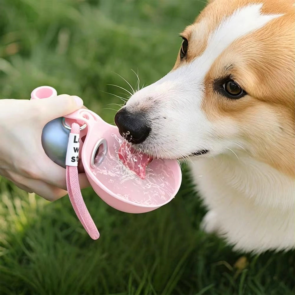Portable Silicone Pet Water Bottle and Drinking Bowl with Leak-Proof Locking Design