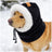 Small dog wearing a black winter hat with ear cover