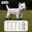 Four leg dog coverall with lead attachment, available in 2 colours, image 30