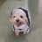 Gothic nun cloak Halloween costume for cats and dogs