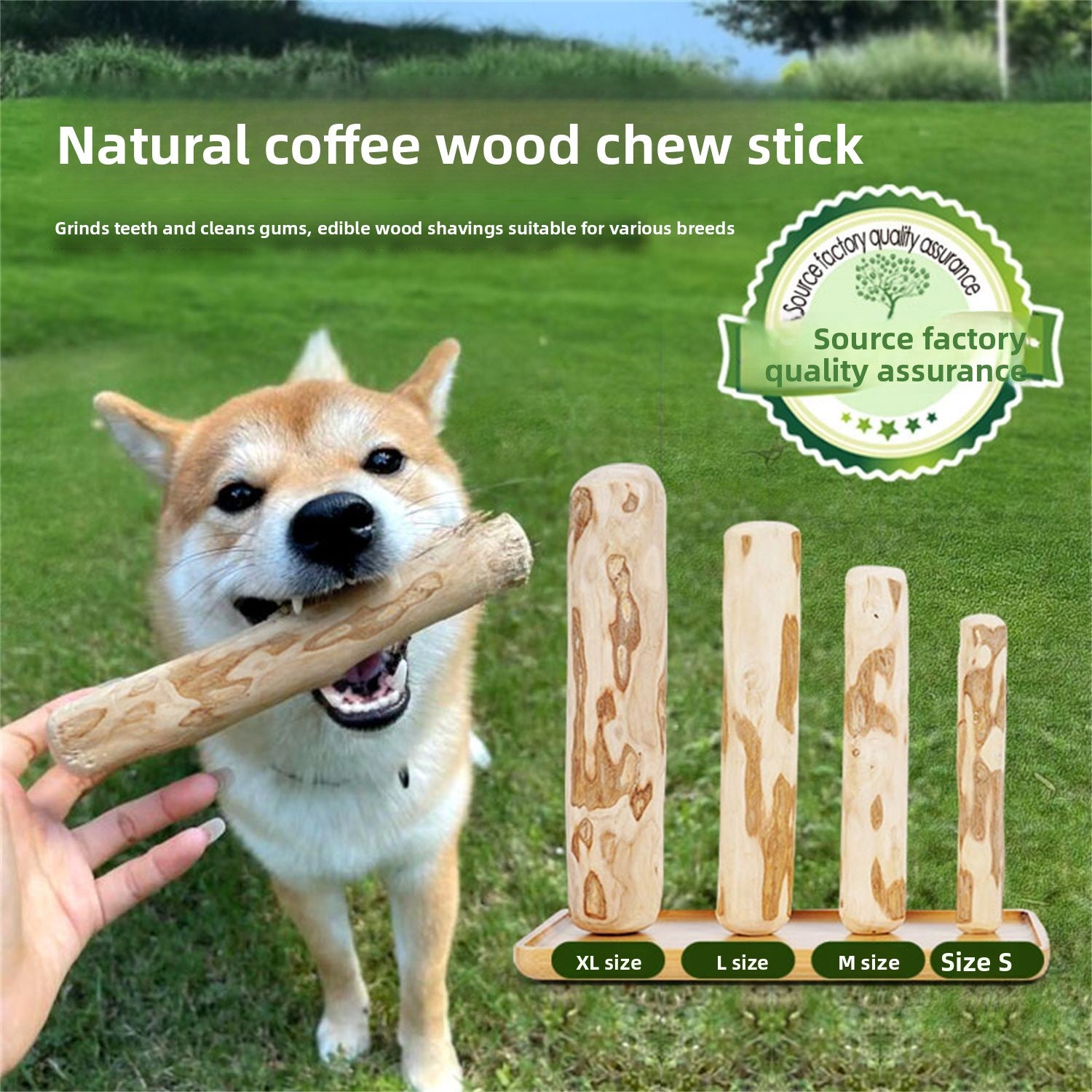 Natural coffee wood dog chew toy