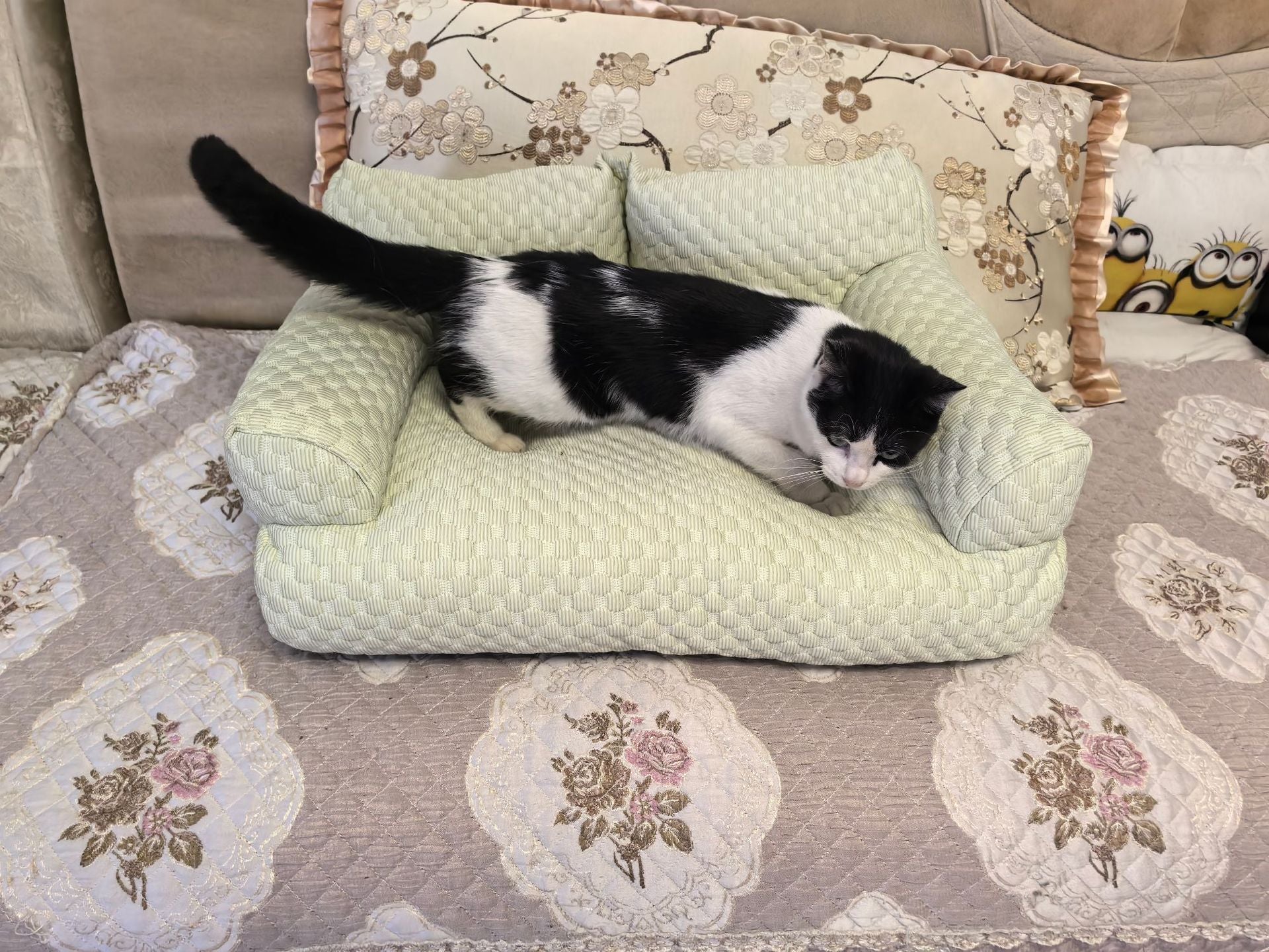Breathable small dog bed with removable washable cover, detail and texture view