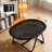 Folding Raised Camp Bed for Small Dogs and Cats, Breathable