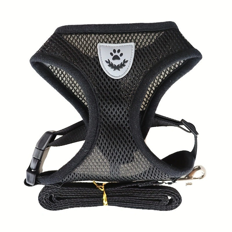 No-choke vest harness and lead set, available from Pet Royale UK