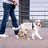Strong nylon dog walking lead, available from Pet Royale UK