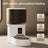 Smart 4L Automatic Pet Feeder with App Control, Camera and Battery Backup