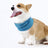 Cool touch cooling scarf for dogs and cats, available in 9 colours, image 14