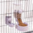 Hanging Pet Feeder and Water Dispenser Set, 500g Food and 500ml Water, Cage Mount