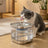 Wireless Smart Stainless Steel Pet Water Dispenser with Infrared Sensor and Filter