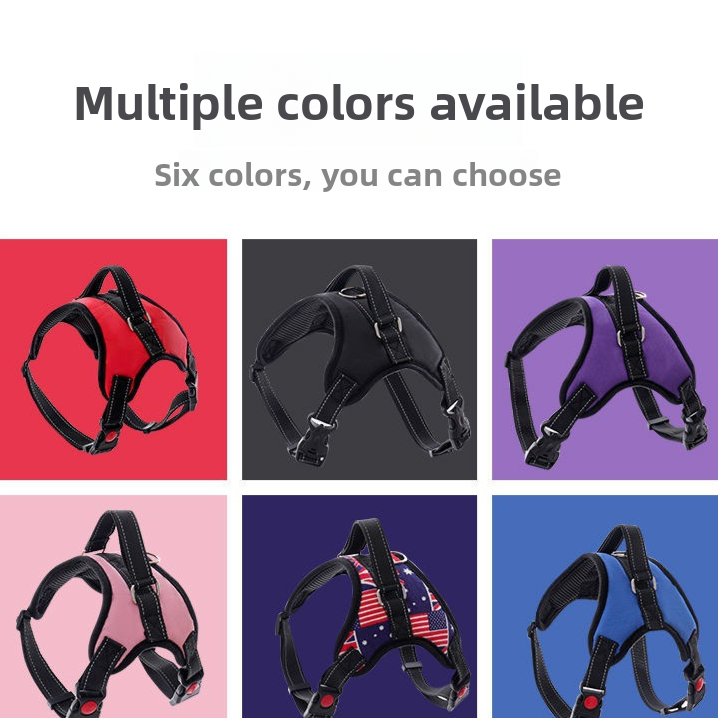 Nylon dog harness with thick eight strand rope lead in red