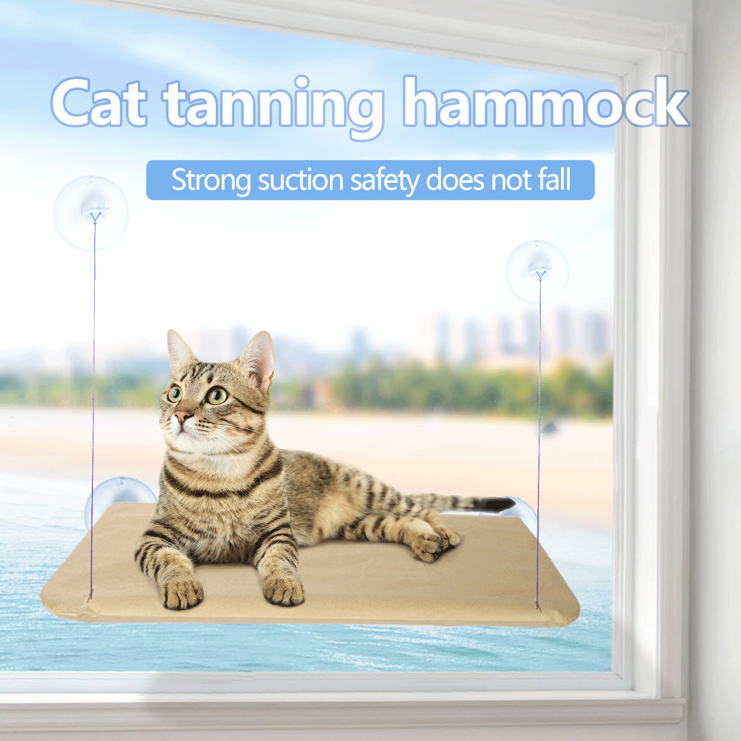 Suction cup cat window perch, photo 2 of 25
