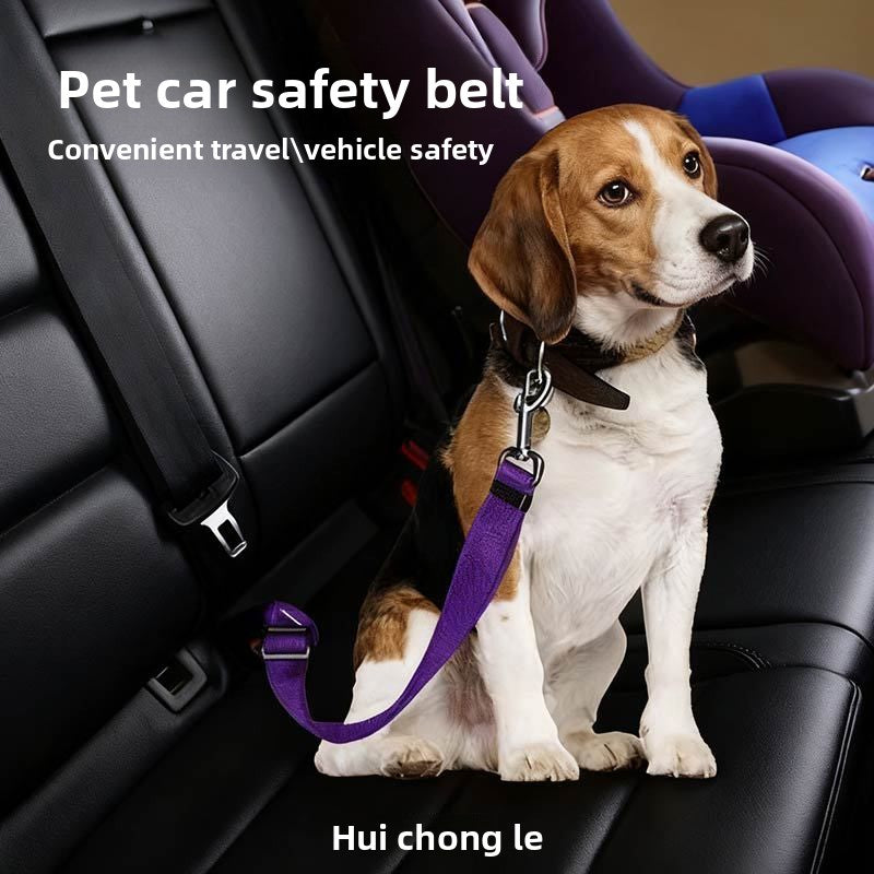 Adjustable nylon pet car seat belt lead with alloy clip in blue, view 4