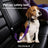 Adjustable nylon pet car seat belt lead with alloy clip in blue, view 4