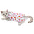 Cat Sterilization and Postpartum Recovery Vest