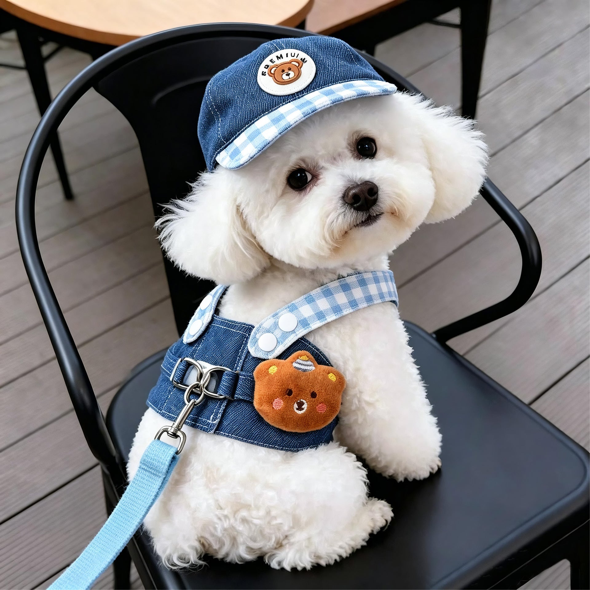 Denim and check pet harness and hat set, 6 sizes available