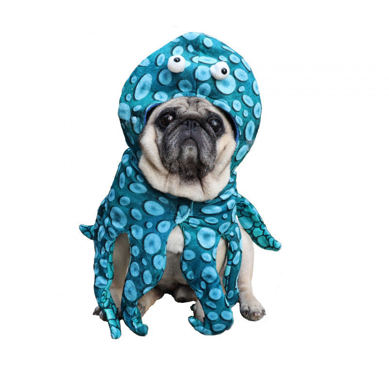 Selection of funny Halloween and Christmas costumes for pets