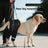 Black dog rear lift support sling with non-slip handles, product image 2