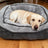 Breathable Polyester Dog Bed for Indoor and Outdoor Use
