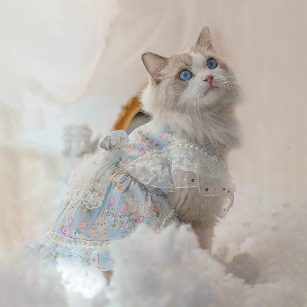 Sky blue Lolita dress for cats and small dogs, showing size and shape