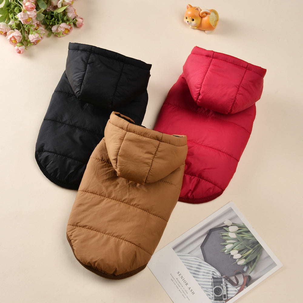 Small dog in a black hooded fleece lined vest jacket