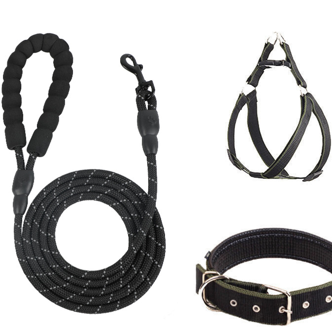 Rope dog lead set with harness or collar, available from Pet Royale UK