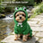 Small dog wearing a green frog fleece sweatshirt