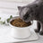 Ceramic Pet Bowl