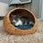 Hand woven rattan cat bed with removable washable cushion, view 5 of 23